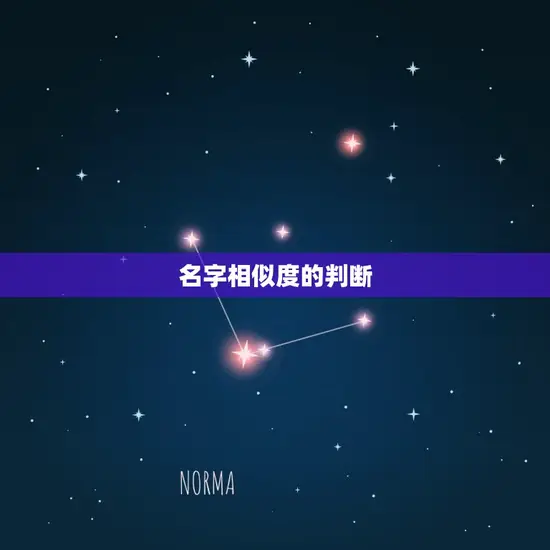 名字相似度的判断