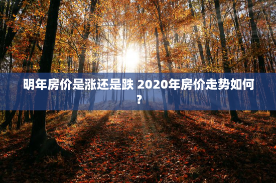 明年房价是涨还是跌 2020年房价走势如何？