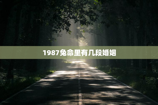 1987兔命里有几段婚姻，1987兔命里有几段婚姻是女生