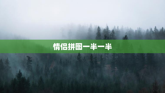 情侣拼图一半一半