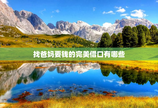 找爸妈要钱的完美借口有哪些