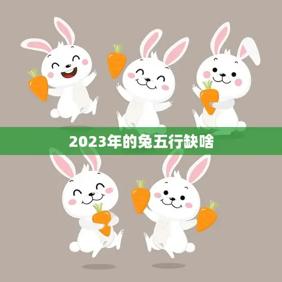 2023年的兔五行缺啥(五行缺水如何化解)