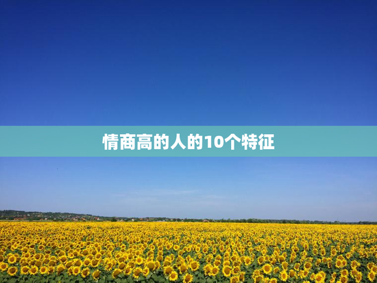 情商高的人的10个特征