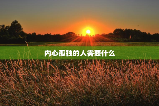 内心孤独的人需要什么