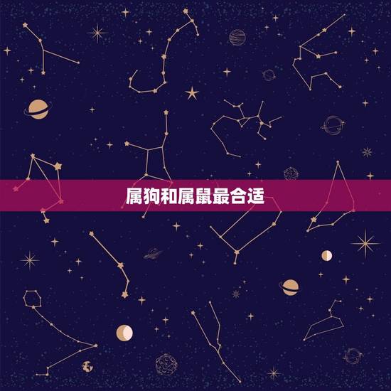 属狗和属鼠最合适