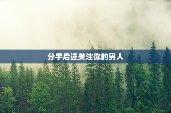 分手后还关注你的男人