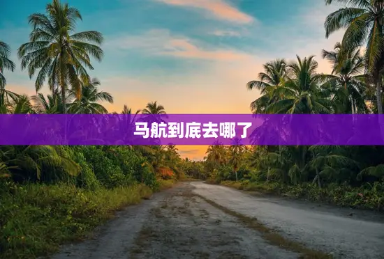 马航到底去哪了