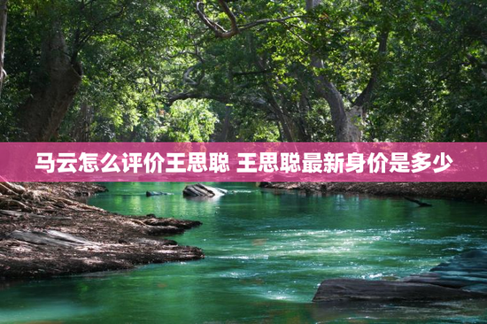 马云怎么评价王思聪 王思聪最新身价是多少