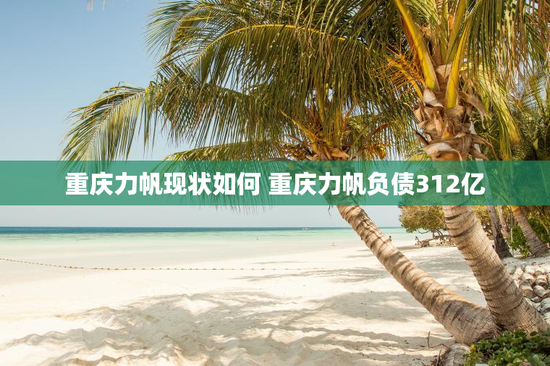 重庆力帆现状如何 重庆力帆负债312亿