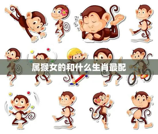 属猴女的和什么生肖最配(十二生肖中最佳配对)