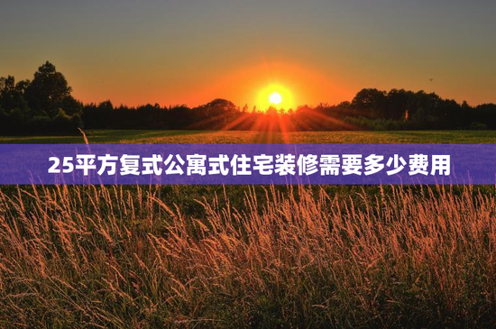 25平方复式公寓式住宅装修需要多少费用