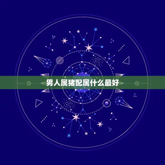 男人属猪配属什么最好