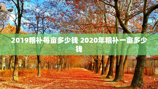 2019粮补每亩多少钱 2020年粮补一亩多少钱