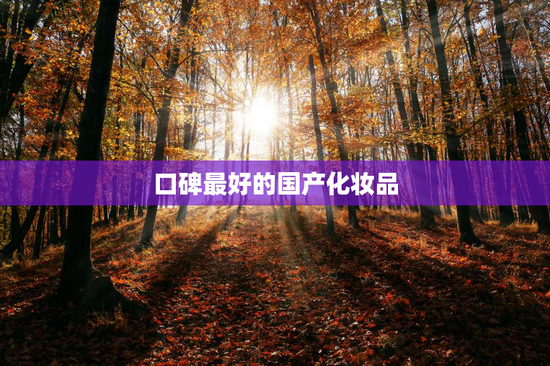 口碑最好的国产化妆品