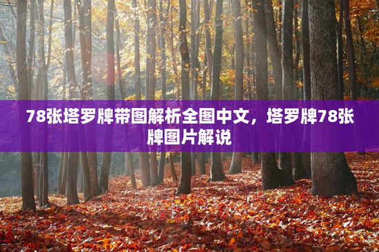 78张塔罗牌带图解析全图中文，塔罗牌78张牌图片解说