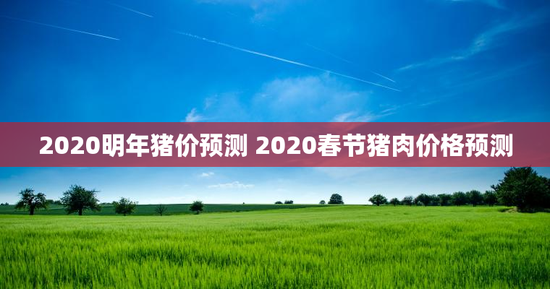2020明年猪价预测 2020春节猪肉价格预测