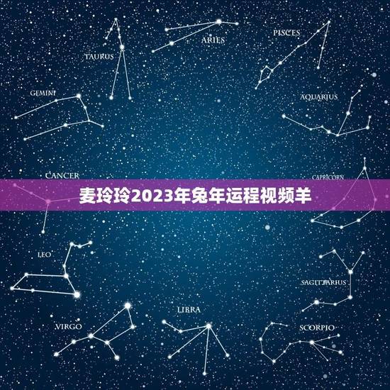 麦玲玲2023年兔年运程视频羊(解读麦玲玲的十二生肖运势)