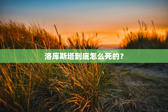 洛库斯塔到底怎么死的？