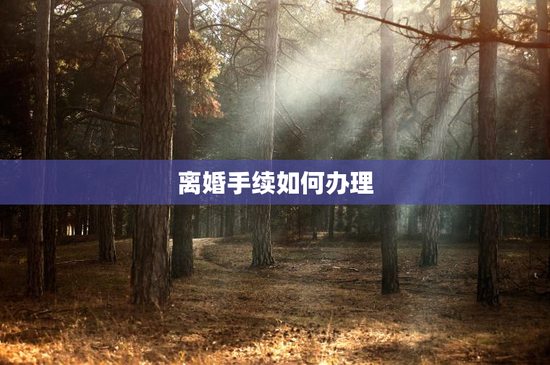 离婚手续如何办理