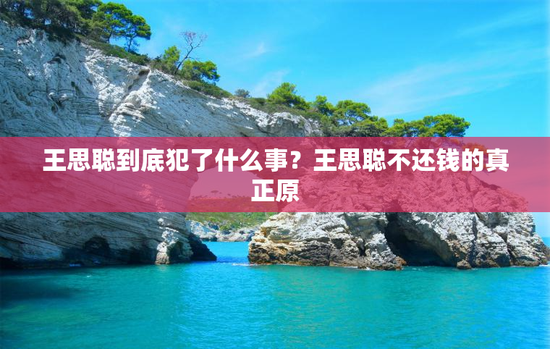 王思聪到底犯了什么事？王思聪不还钱的真正原