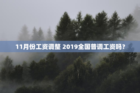 11月份工资调整 2019全国普调工资吗？