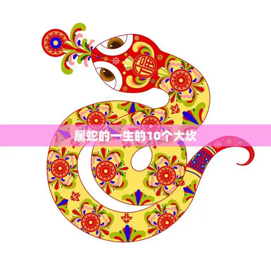 属蛇的一生的10个大坎(如何应对)