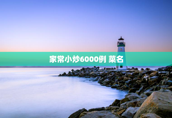 家常小炒6000例 菜名