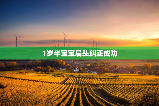 1岁半宝宝扁头纠正成功