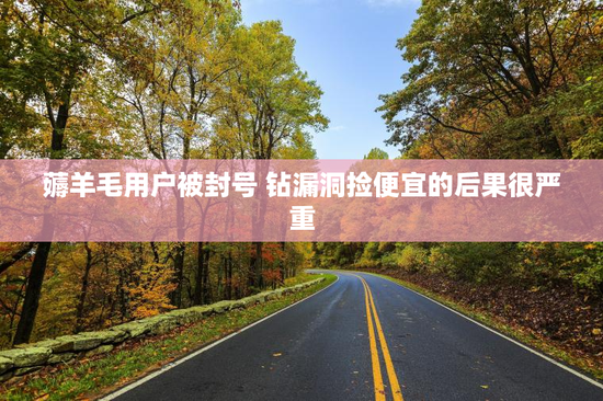 薅羊毛用户被封号 钻漏洞捡便宜的后果很严重