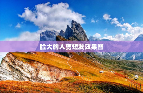 脸大的人剪短发效果图