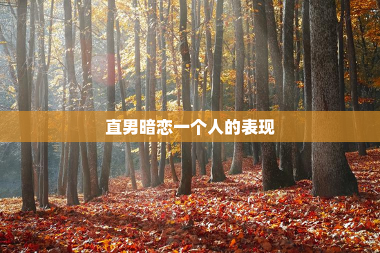 直男暗恋一个人的表现