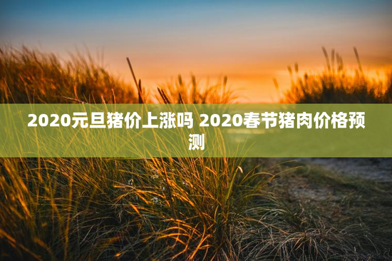 2020元旦猪价上涨吗 2020春节猪肉价格预测