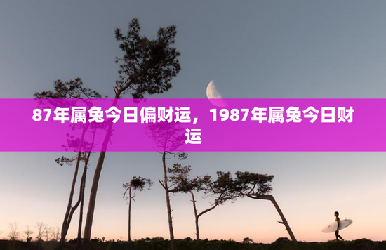 87年属兔今日偏财运，1987年属兔今日财运
