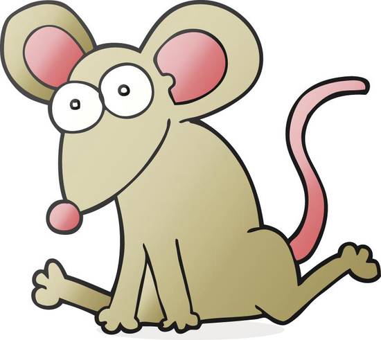 属鼠人逢兔年2023年(幸运之年财富滚滚来)