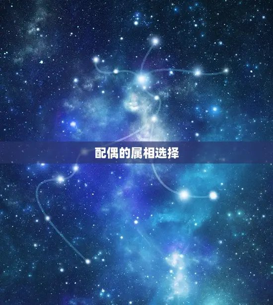 配偶的属相选择