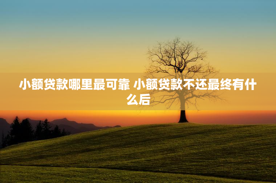 小额贷款哪里最可靠 小额贷款不还最终有什么后