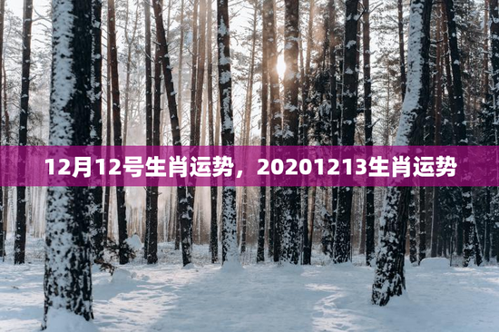 12月12号生肖运势，20201213生肖运势