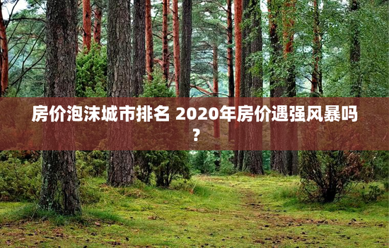 房价泡沫城市排名 2020年房价遇强风暴吗？