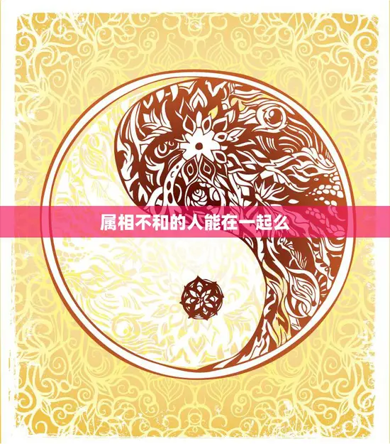 属相不和的人能在一起么(解析属相配对的秘密)