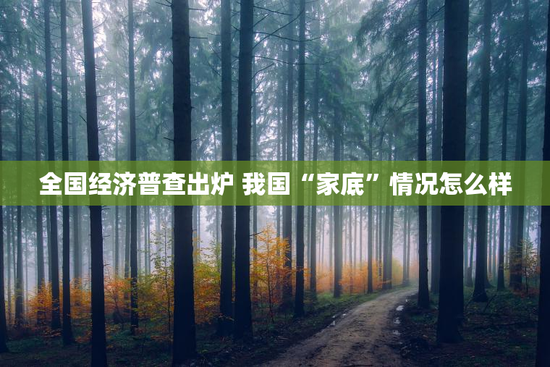 全国经济普查出炉 我国“家底”情况怎么样