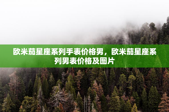 欧米茄星座系列手表价格男，欧米茄星座系列男表价格及图片