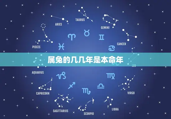 属兔的几几年是本命年