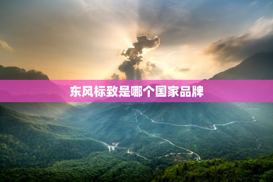 东风标致是哪个国家品牌