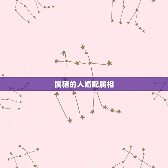 属猪的人婚配属相