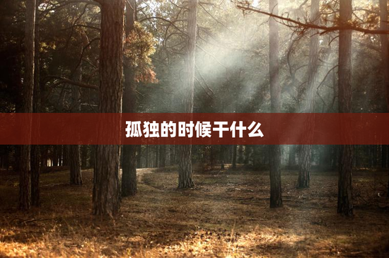 孤独的时候干什么