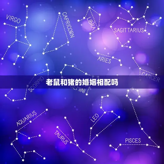 老鼠和猪的婚姻相配吗