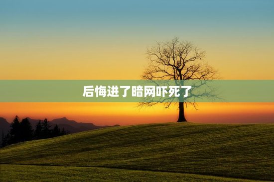 后悔进了暗网吓死了