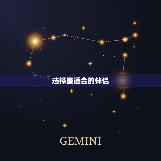 选择最适合的伴侣