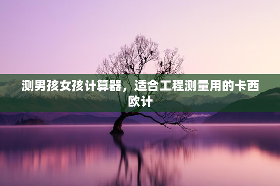 测男孩女孩计算器，适合工程测量用的卡西欧计