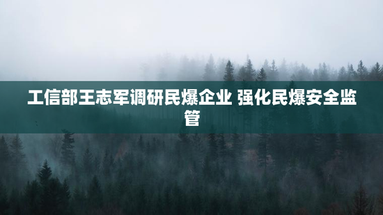 工信部王志军调研民爆企业 强化民爆安全监管